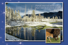 Christmas Postcard Snowy Yellowstone